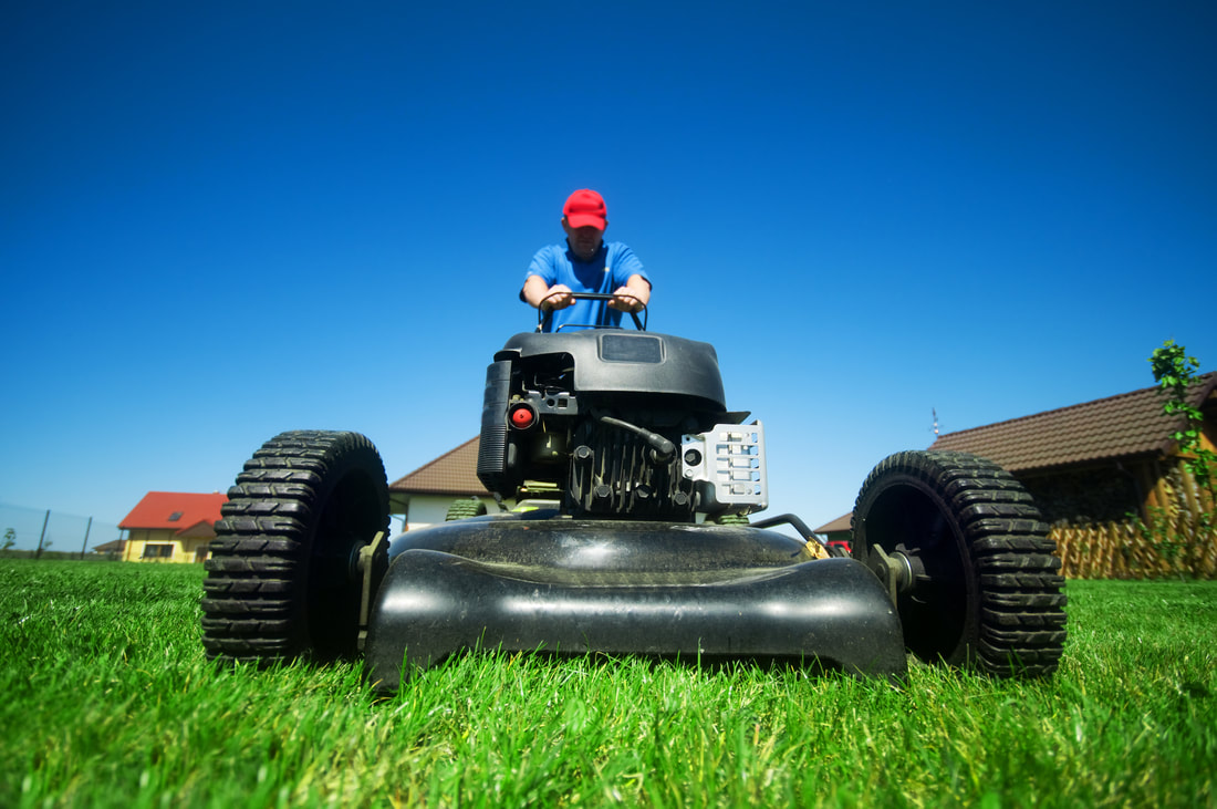 The right kind of lawn mower makes all the difference in your regular lawn maintenance program.