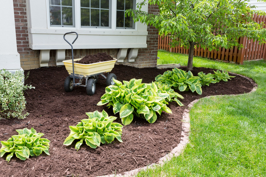 A flower bed with some fresh mulch applied to cover the soil
