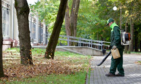 A lawn maintenance worker clearing off the leaves from a commercial property