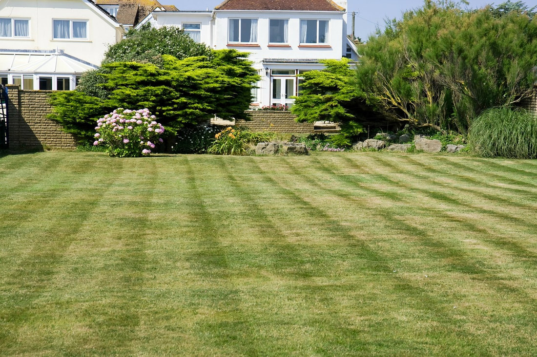 A freshly cut lawn with neat rows