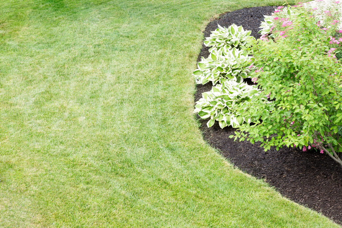 Augusta Lawn Care and Maintenance is standing by to help give you the lawn you've always wanted.